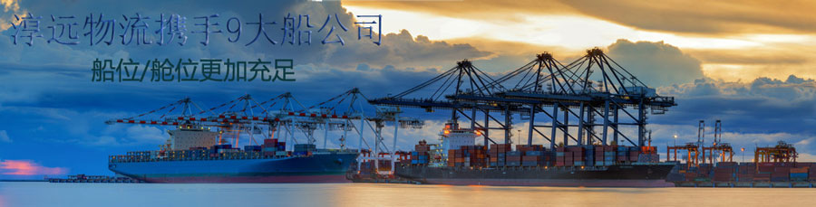 淳遠(yuǎn)物流攜手9大船公司更具出口訂艙優(yōu)勢